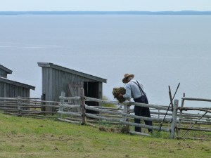 Highland Village Iona 031